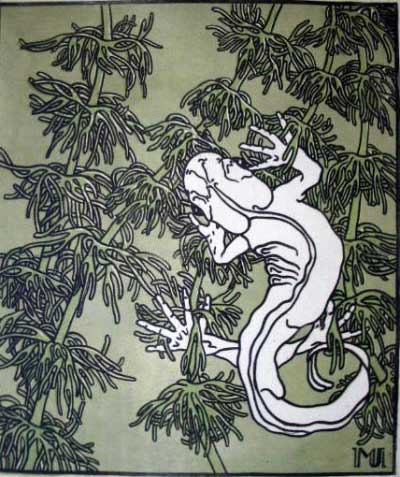 MARIE VON UCHATIUS, Gekko, ca. 1906, 35 x 30 cm, Holzschnitt, Aquareliert, im Stock monogrammiert, Probedruck