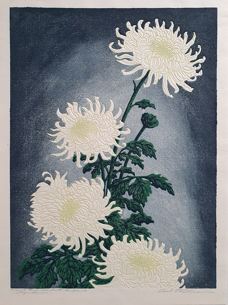 THIEMANN_Chrisanthemen